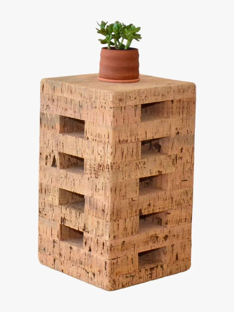 Image may contain: Jar, Plant, Planter, Potted Plant, Pottery, Vase, Furniture, Wood, and Drawer