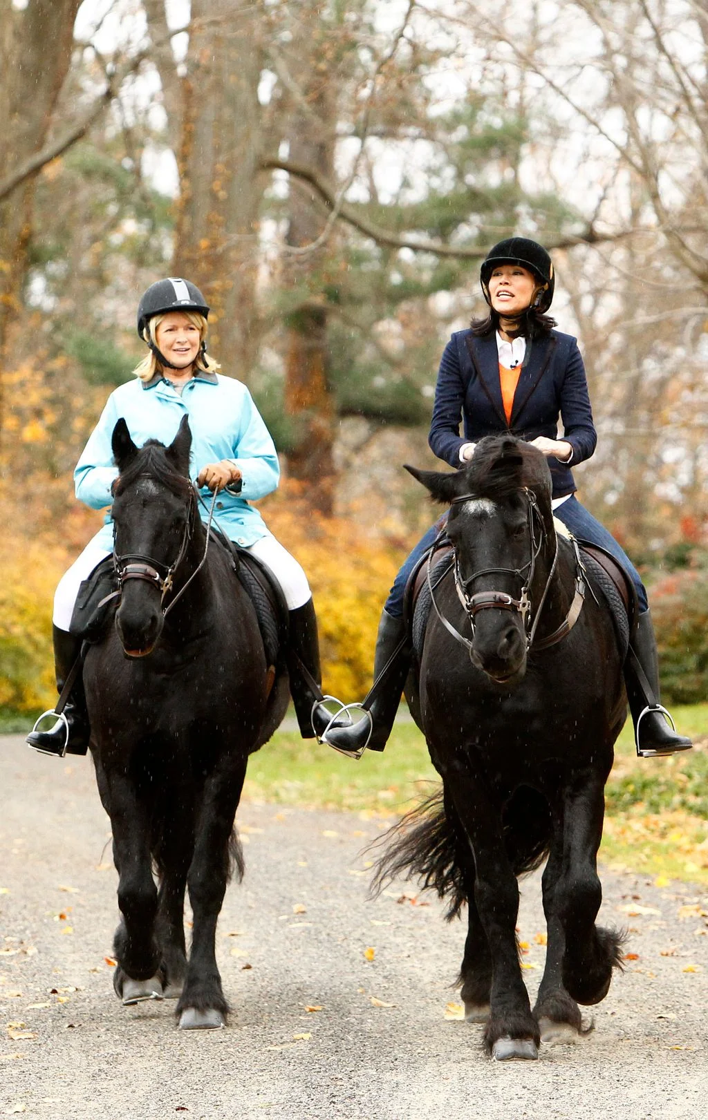 Image may contain Ann Curry Martha Stewart Helmet Clothing Footwear Shoe Adult Person Animal Horse and Mammal