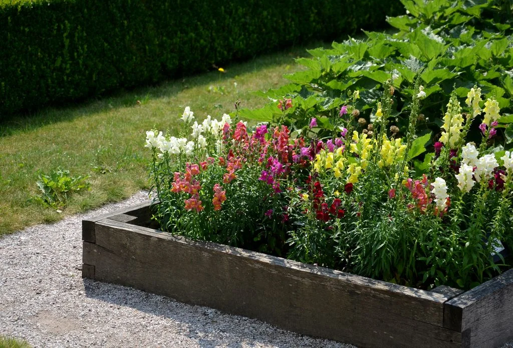 Image may contain Jar Plant Planter Potted Plant Pottery Vase Garden Nature Outdoors Grass Vegetation and Flower