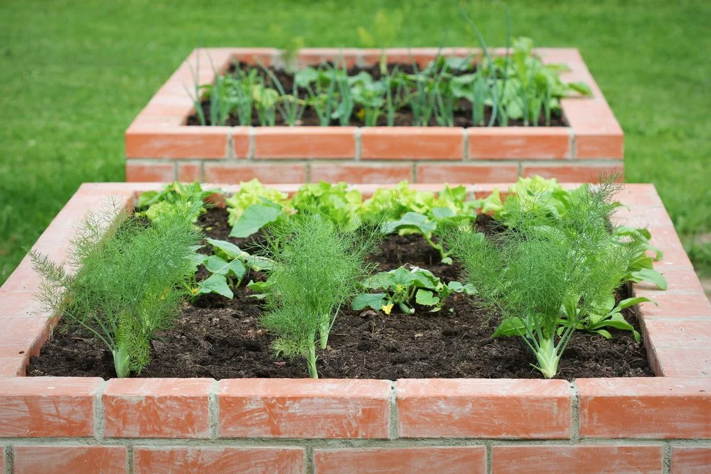 Image may contain Plant Potted Plant Jar Planter Pottery Vase and Food