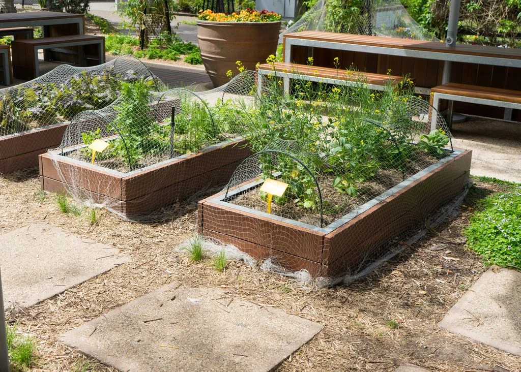 Image may contain Jar Plant Planter Potted Plant Pottery Vase Garden Nature Outdoors Backyard Yard and Bench