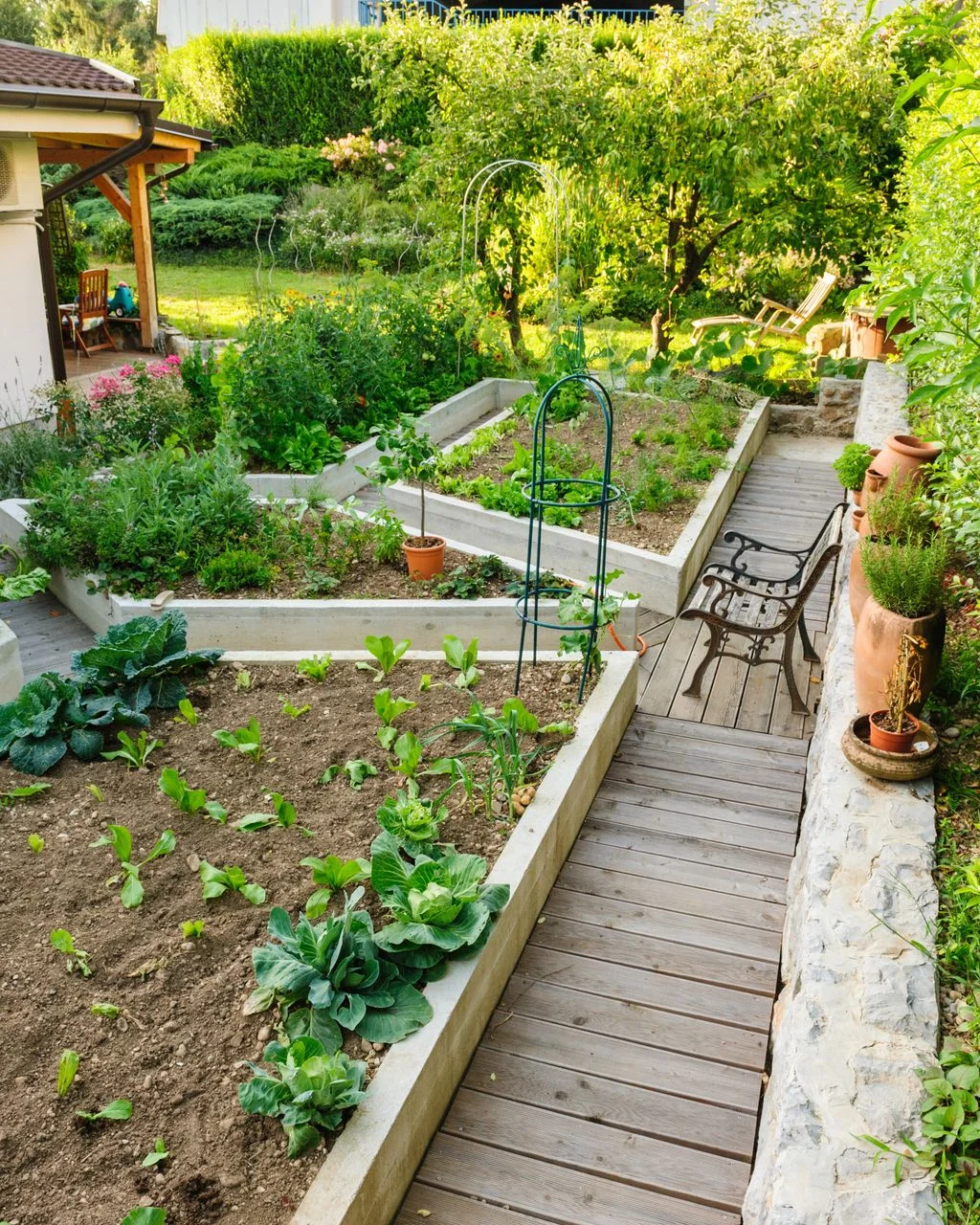 Image may contain Backyard Garden Nature Outdoors Yard Plant Potted Plant Indoors Interior Design Jar and Planter