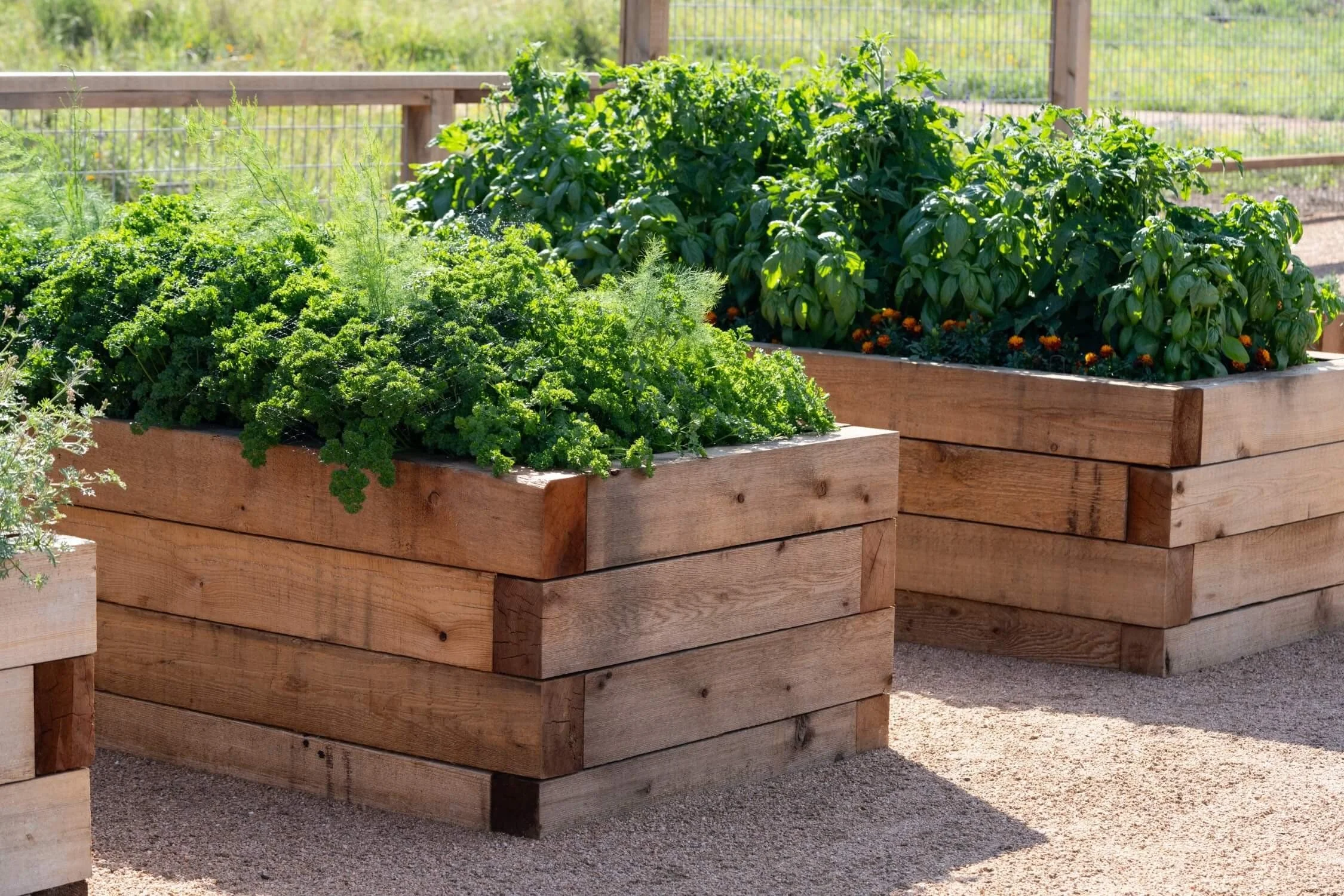 13 Raised Garden Bed Ideas to Elevate Your Backyard This Spring