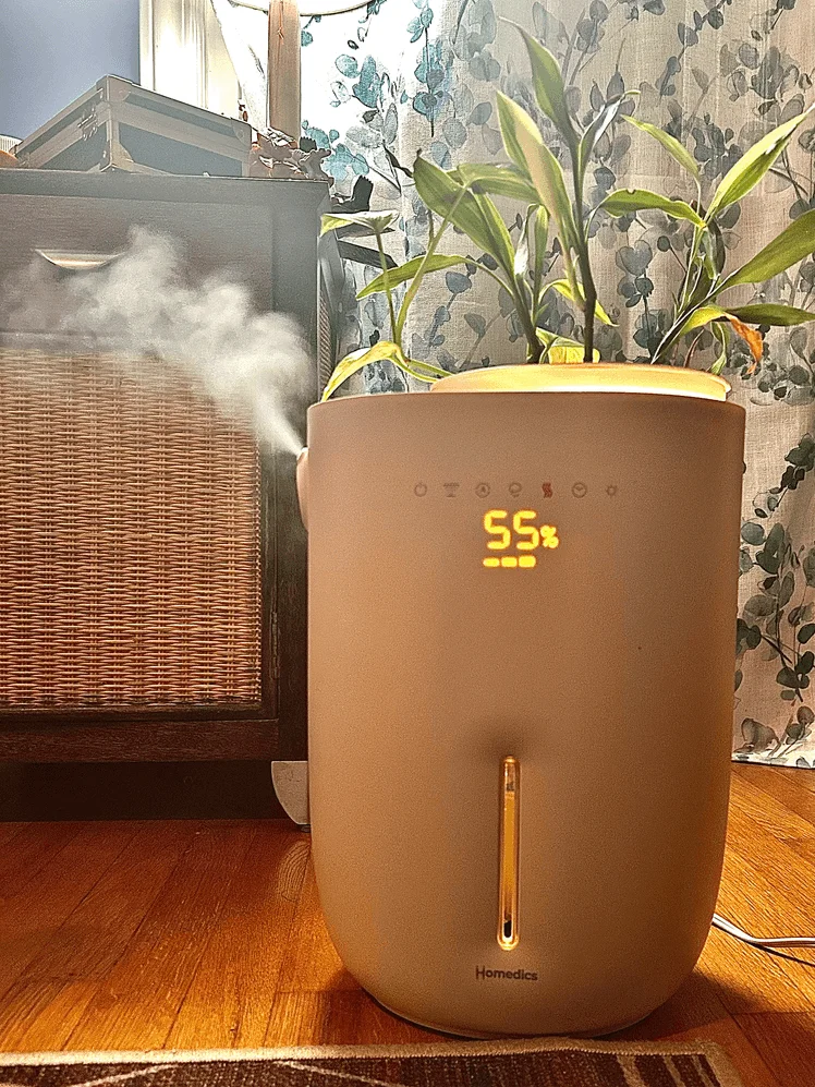 Image may contain: Plant, Potted Plant, Indoors, Interior Design, Pottery, Jar, Cookware, Pot, Wood, and Vase