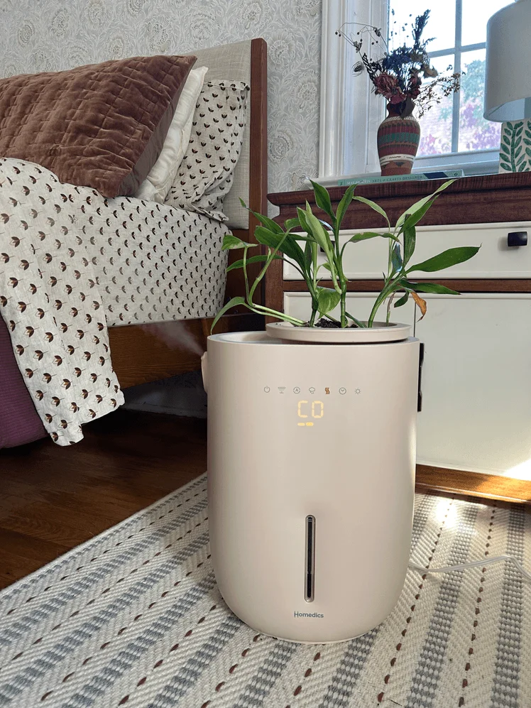 Image may contain: Plant, Potted Plant, Jar, Planter, Pottery, Vase, Indoors, Interior Design, and Home Decor