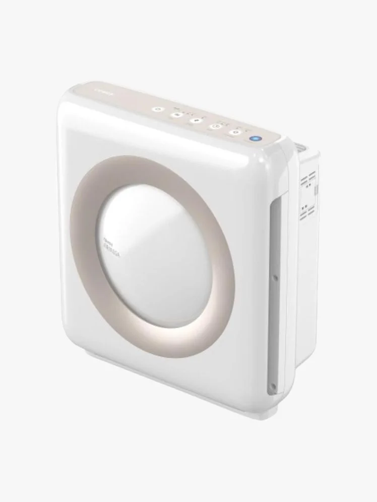 Coway Airmega Air Purifier.