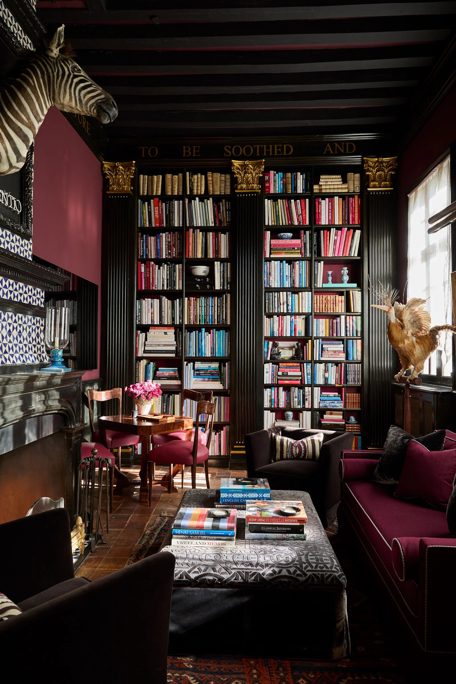 Image may contain Furniture Bookcase Animal Mammal Wildlife Zebra Bird Chicken Fowl Poultry Couch and Chair