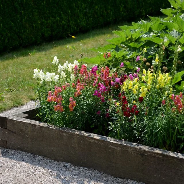 13 Raised Garden Bed Ideas to Elevate Your Backyard This Spring