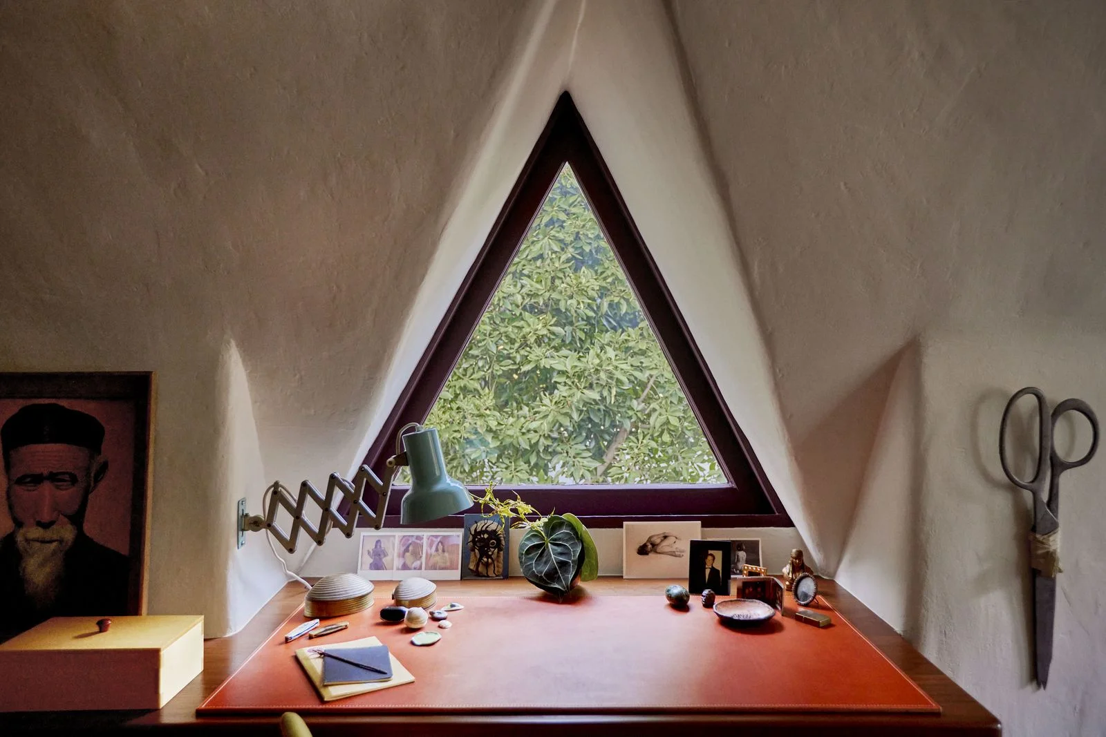 Image may contain Person Window Windowsill and Plant