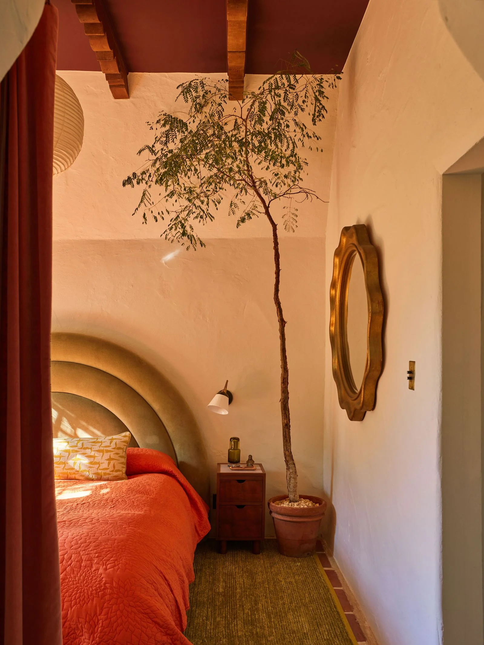 Image may contain Indoors Interior Design Plant Bed Bedroom Furniture Room and Home Decor