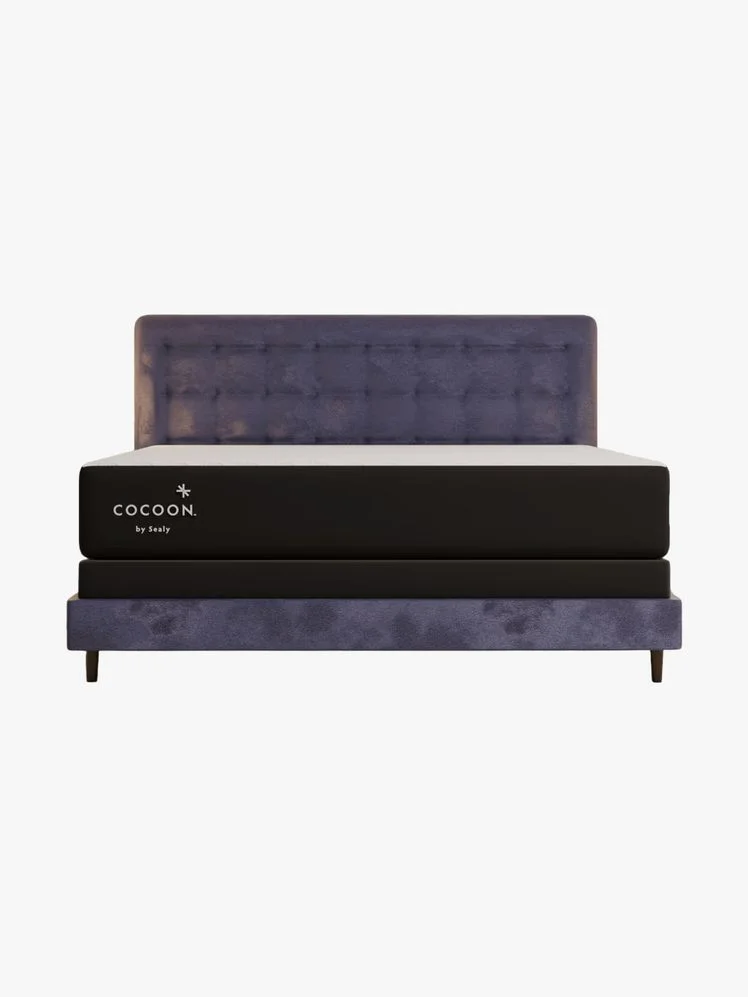 Image may contain: Furniture, Couch, and Bed