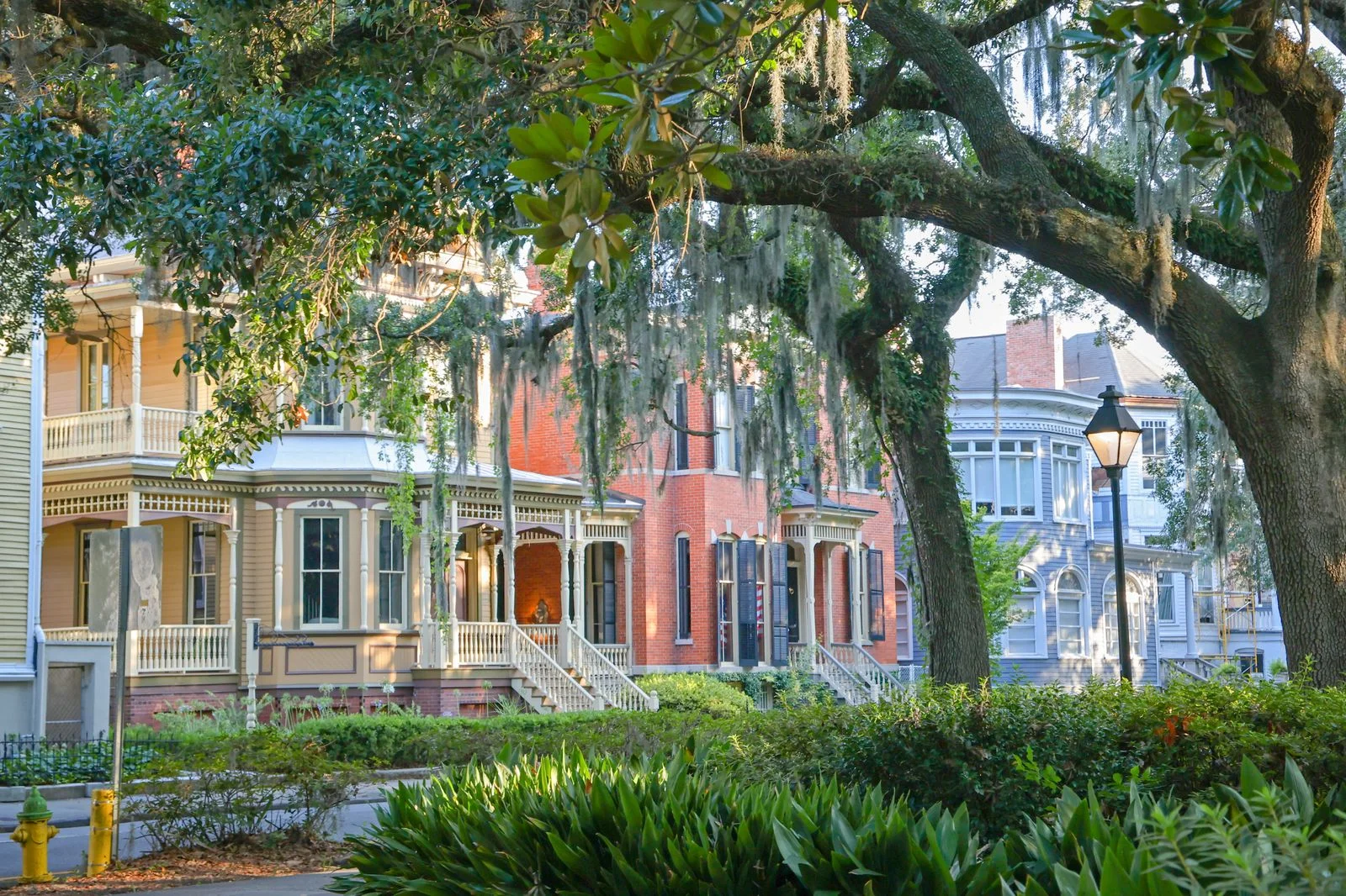 savannah destination gorgie tats unis t 2026