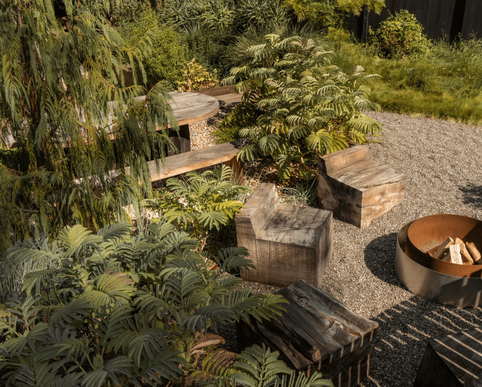 Image may contain Wood Plant Tree Potted Plant Backyard Nature Outdoors Yard Garden Fern Jar Planter and Pottery