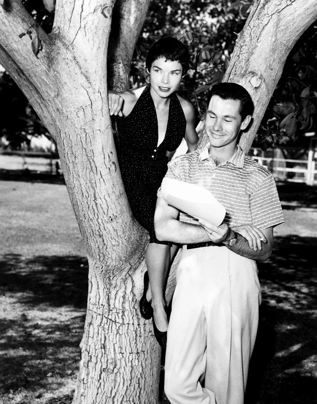 Image may contain Johnny Carson Plant Tree Face Head Person Photography Portrait Grass Nature Outdoors and Park