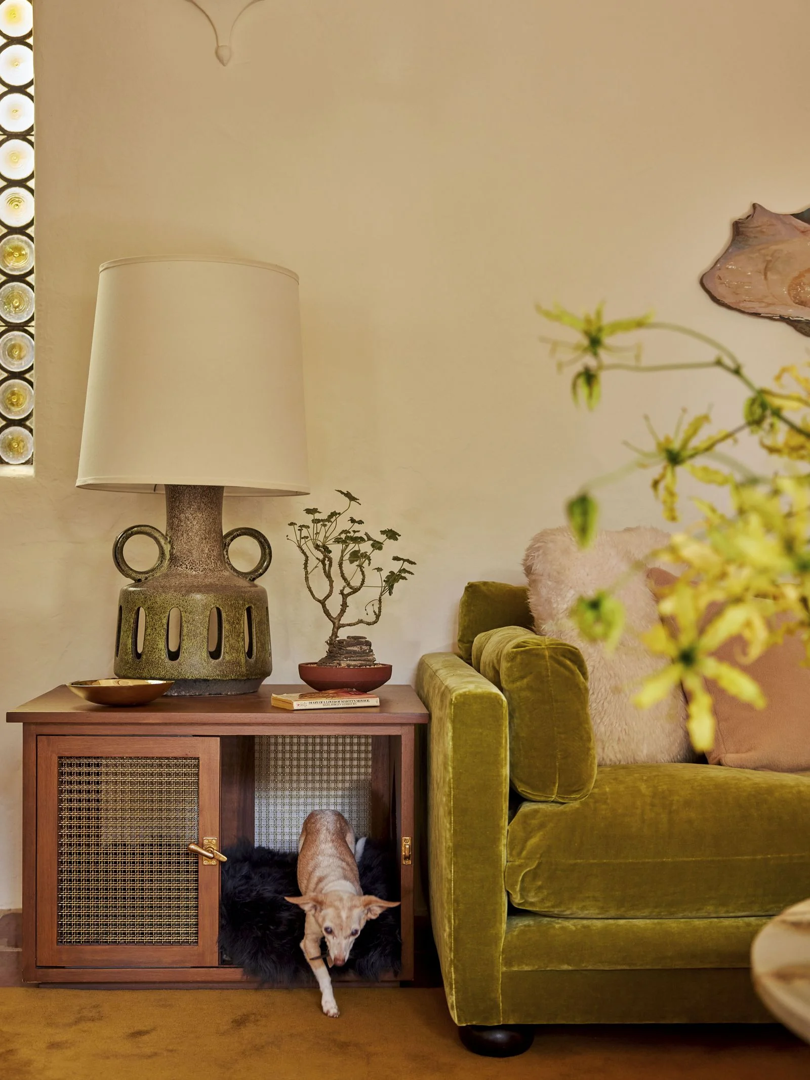 Image may contain Lamp Book Publication Plant Animal Canine Dog Mammal Pet Table Lamp Couch and Furniture