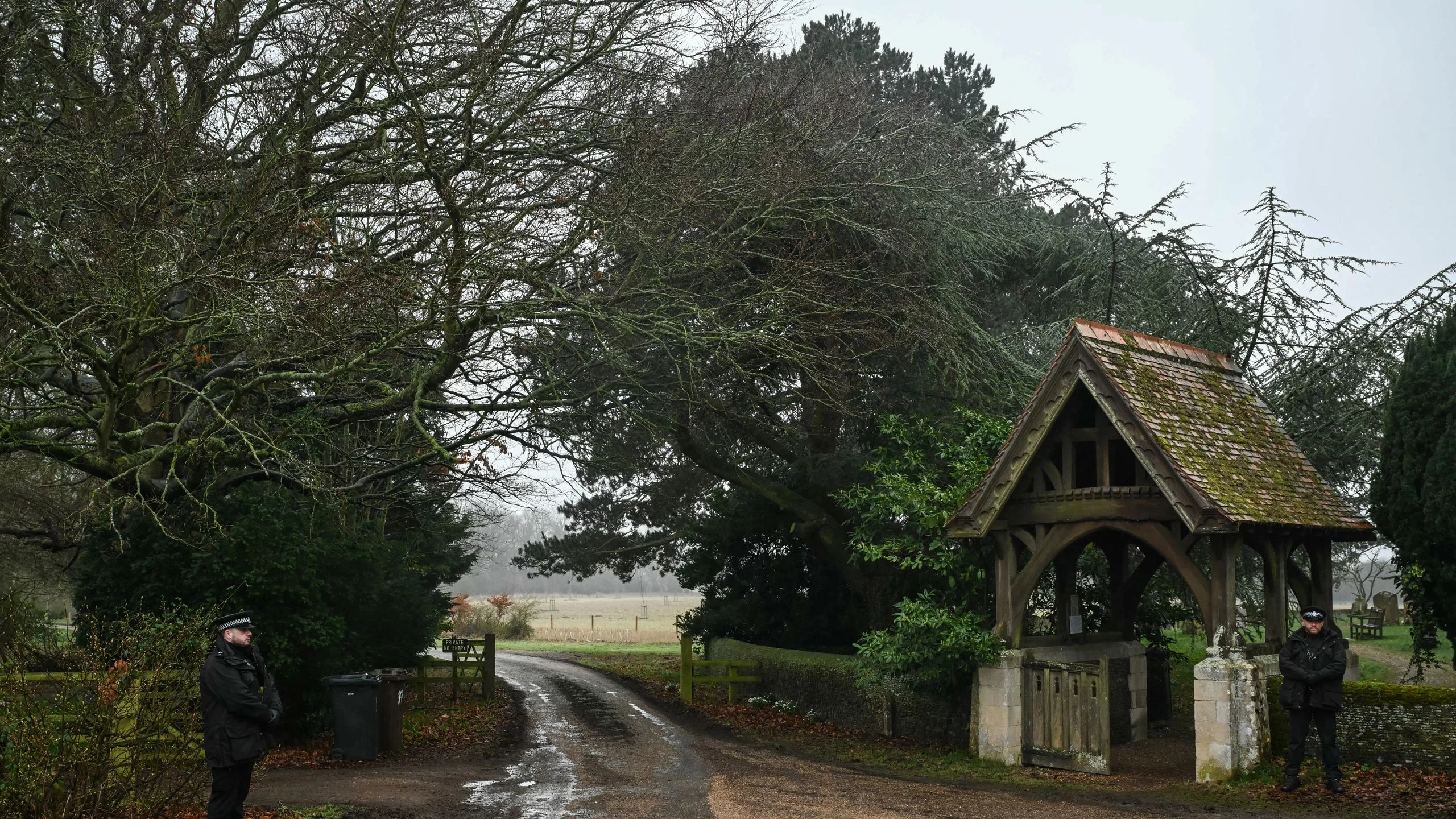 Image may contain City Road Street Urban Plant Tree Outdoors Vegetation Architecture Building Housing and House