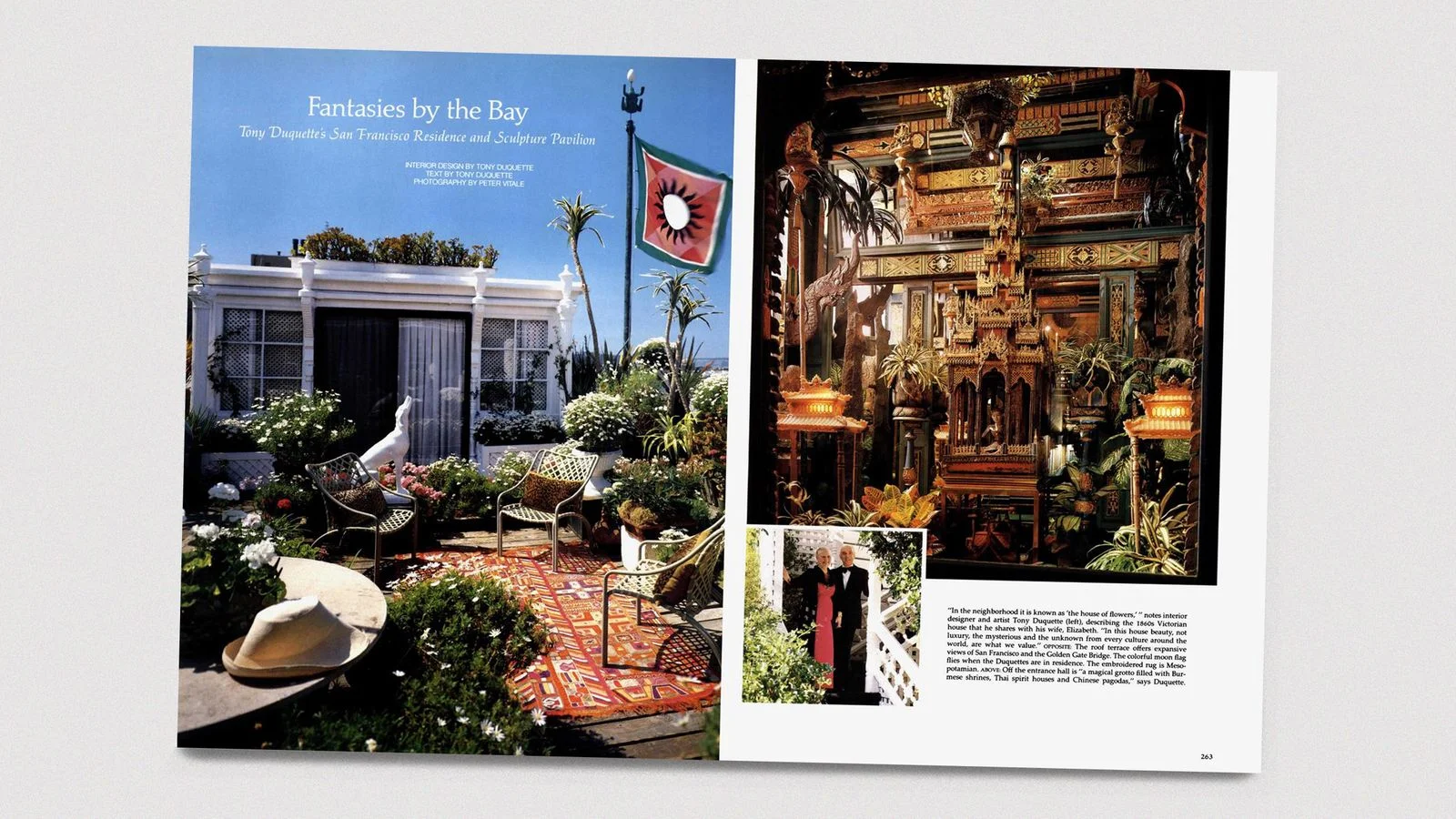 Image may contain  Poster Plant Potted Plant Chair Furniture Person Architecture Building and House