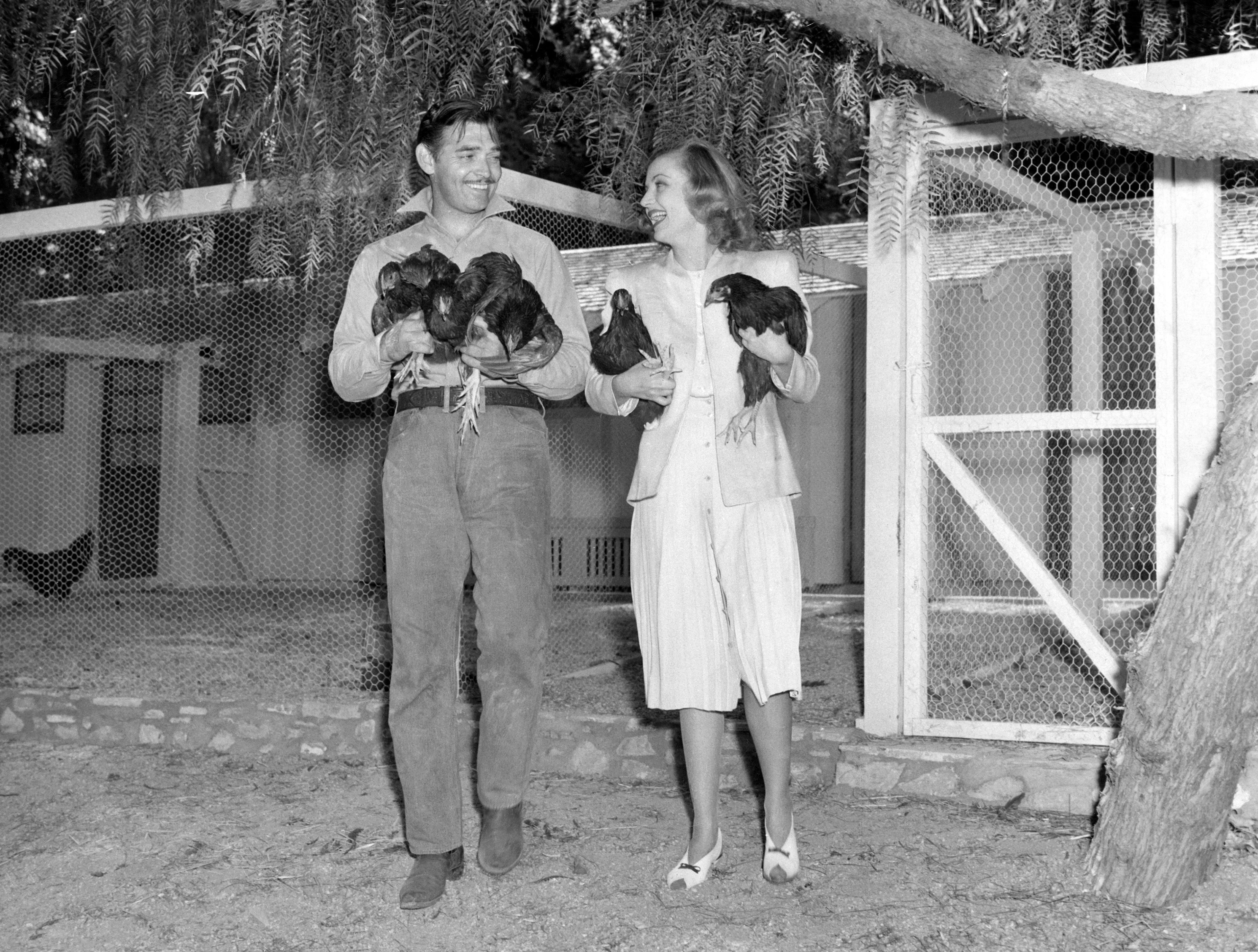 Clark Gable at Home: 7 Off-Duty Photos of the King of Hollywood