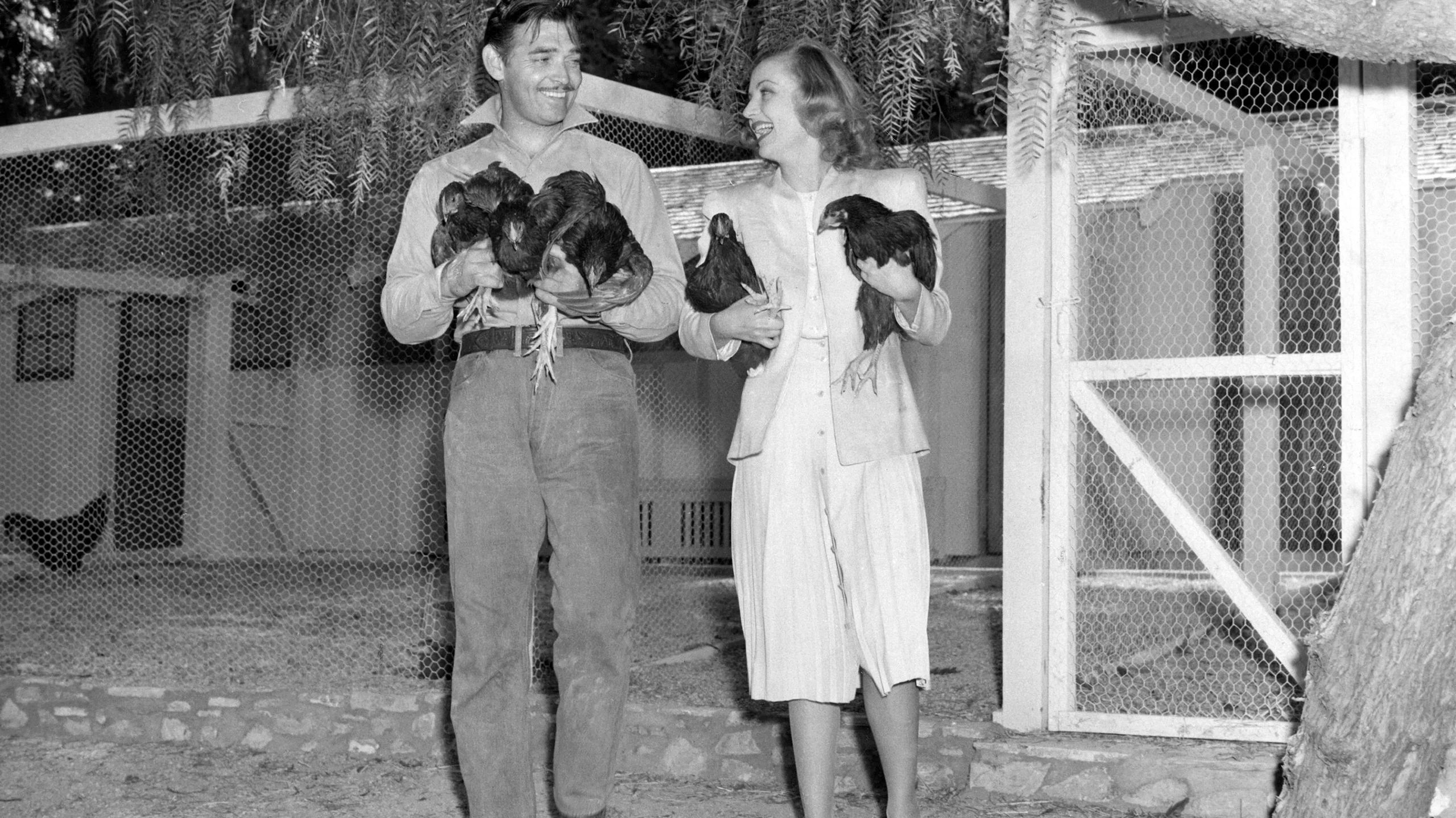 Clark Gable and Carole Lombard at home with their chickens