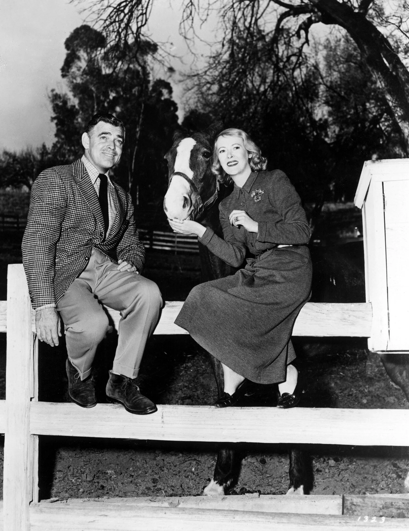 Image may contain Clark Gable Sylvia Ashley Bench Furniture Clothing Coat Adult Person Formal Wear Suit and Face