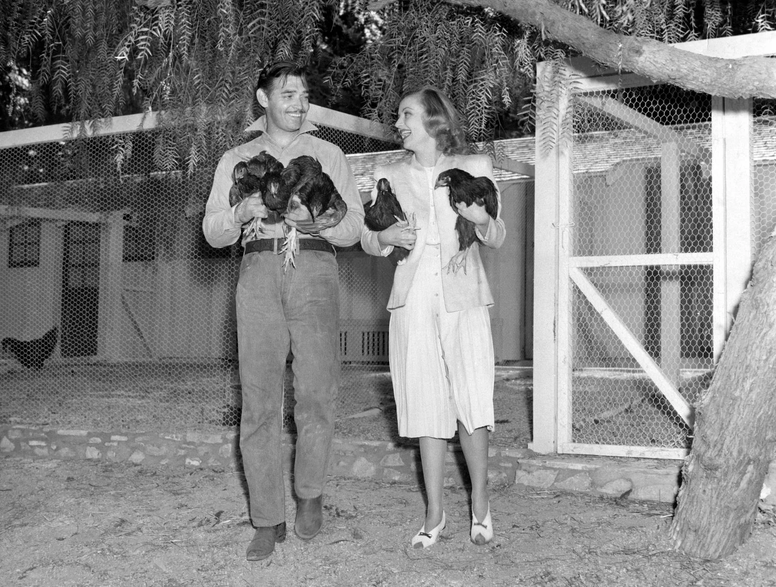 Clark Gable and Carole Lombard at home with their chickens