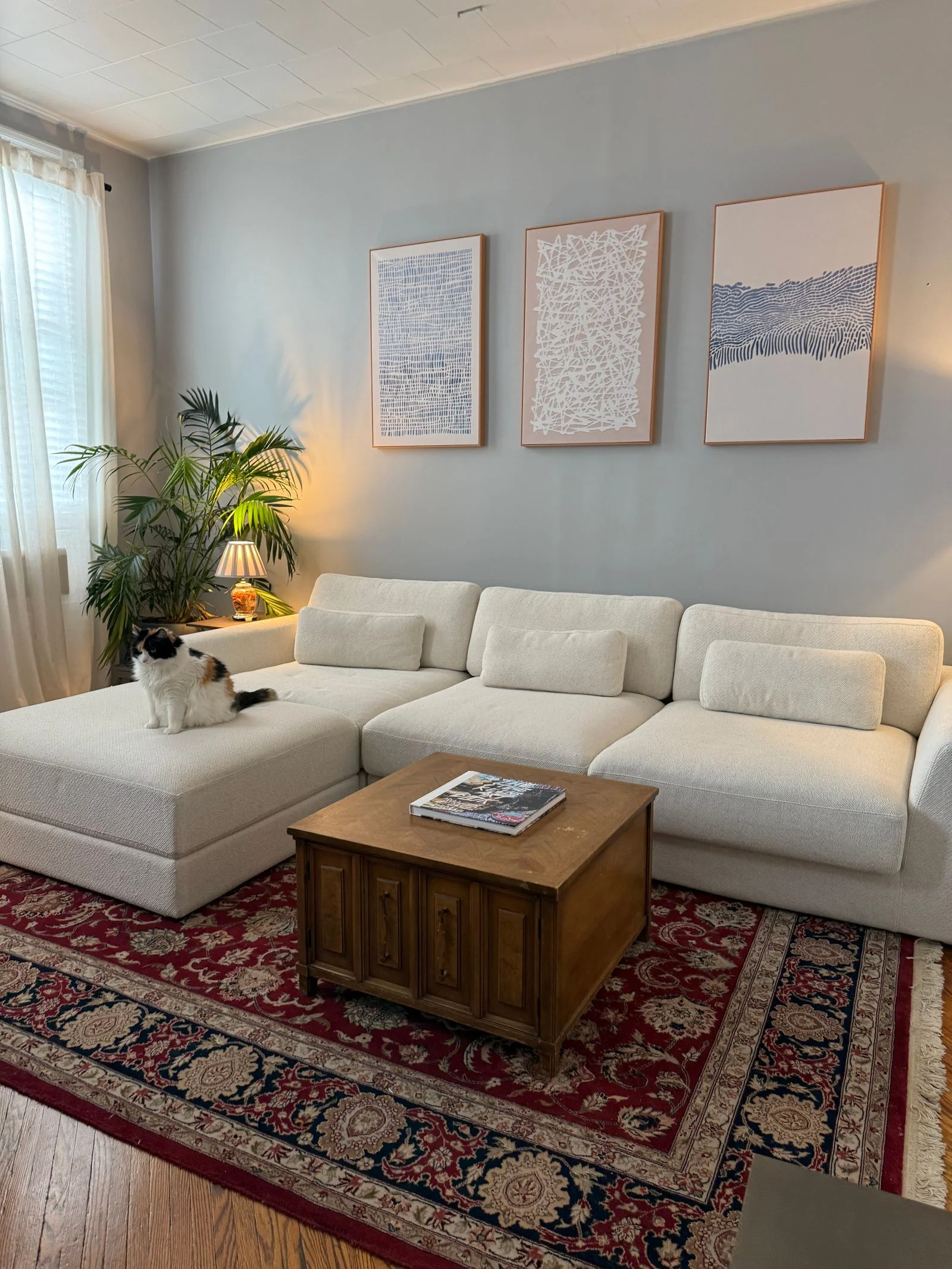 Image may contain Home Decor Book Publication Furniture Couch Animal Cat Mammal Pet Rug Plant Art and Painting