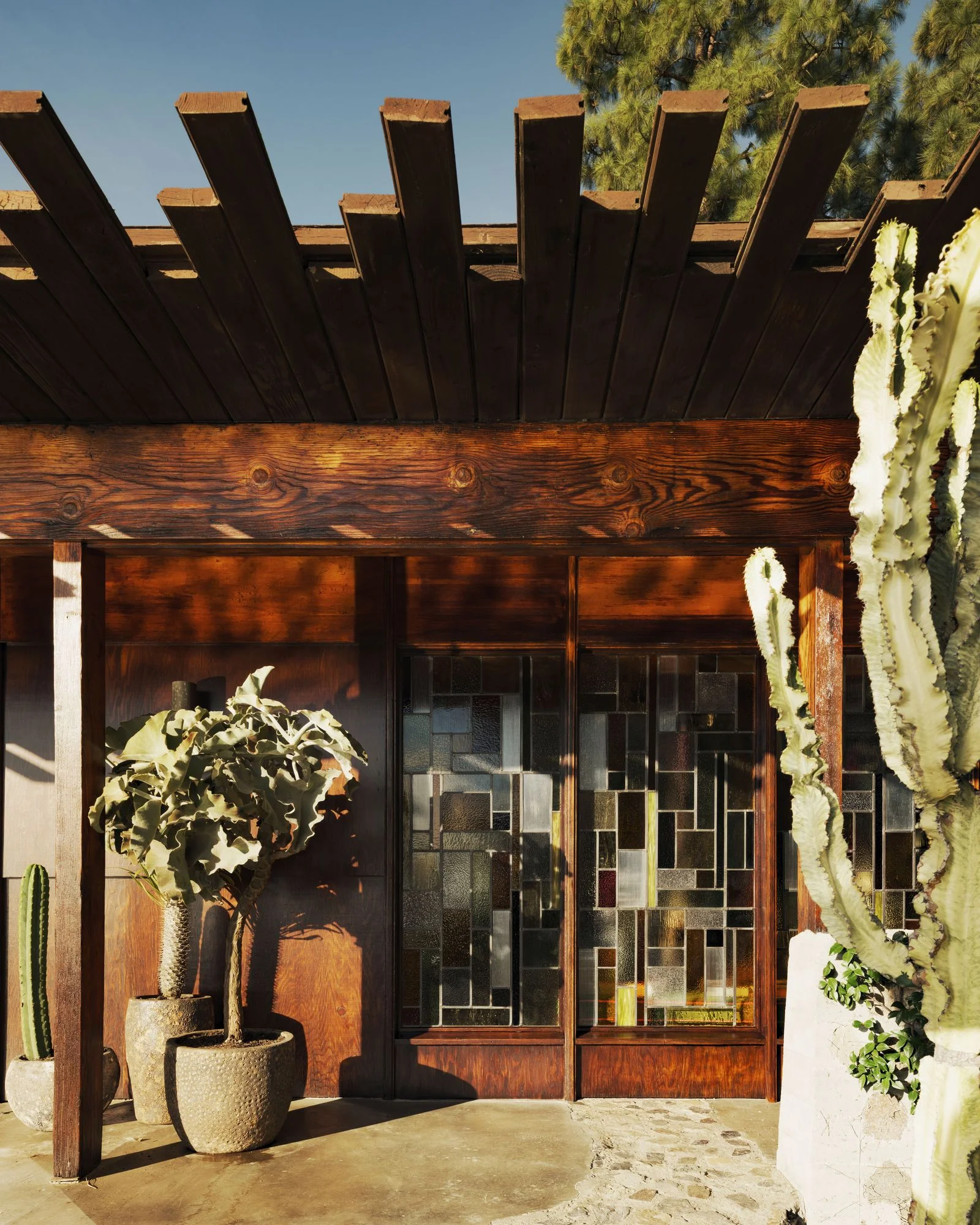 Image may contain Indoors Interior Design Wood Door Plant Potted Plant Architecture Building House and Housing