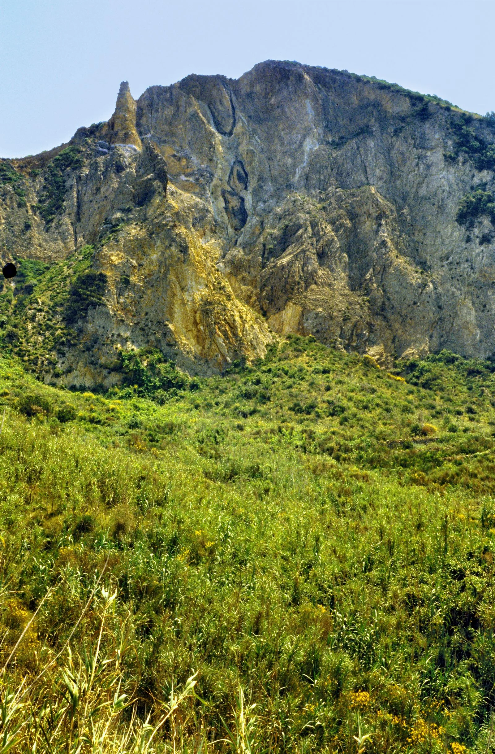Montagna rocce vegetazione