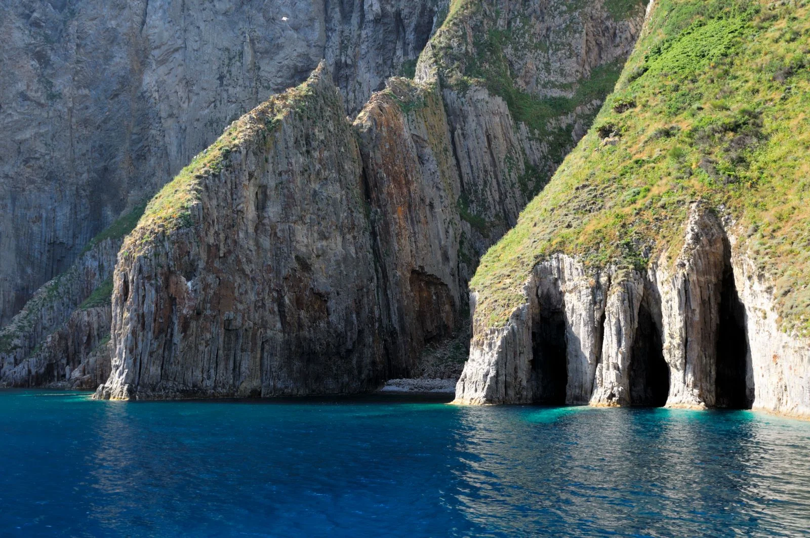 Grotte mare rocce palmarola vegetazione